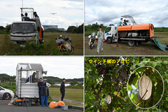 251101_OGC�ܺ���-02