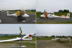 240519_OGC+京大・福井大-05