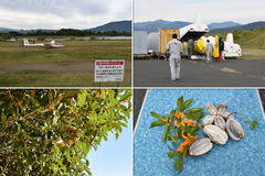 20101018_OGC+関大・関学・同志社・立命-01