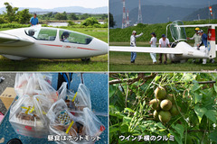 240907_OGC単独-05
