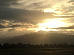 D1086A97-2B09-4328-800D-A8BA801D7949