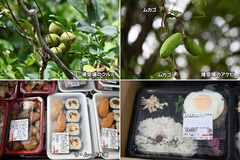 221008_OGC+立命・阪大-03