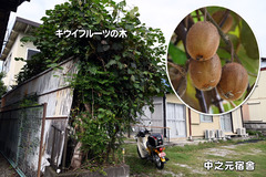 241005_草刈、犬の競技会準備-03