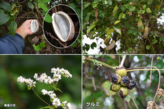 251025_東海･関西強化合宿-後期-01