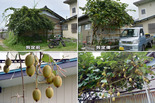 090714_OGC総会-01