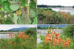 200723・24-整備・他-03
