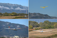 OGC+���玥���������ζë-01�Υ��ԡ�