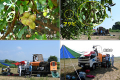 250830_OGC+関学･大工-05