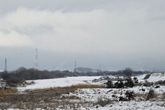2023-01-29_11.37.47_NIKON Z 5 のコピー