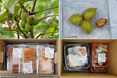 220820_OGC+立命・関大・龍大-04
