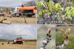 210320_OGC+大工・京大-03