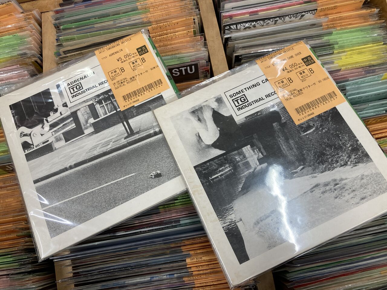 新着レコード情報！THROBBING GRISTLEの中古7インチ入荷！ : 千葉でCD 