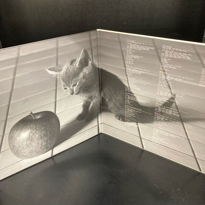 椎名林檎 × 斎藤ネコ / 平成風俗 (LP/重量盤) 中古で入荷しました