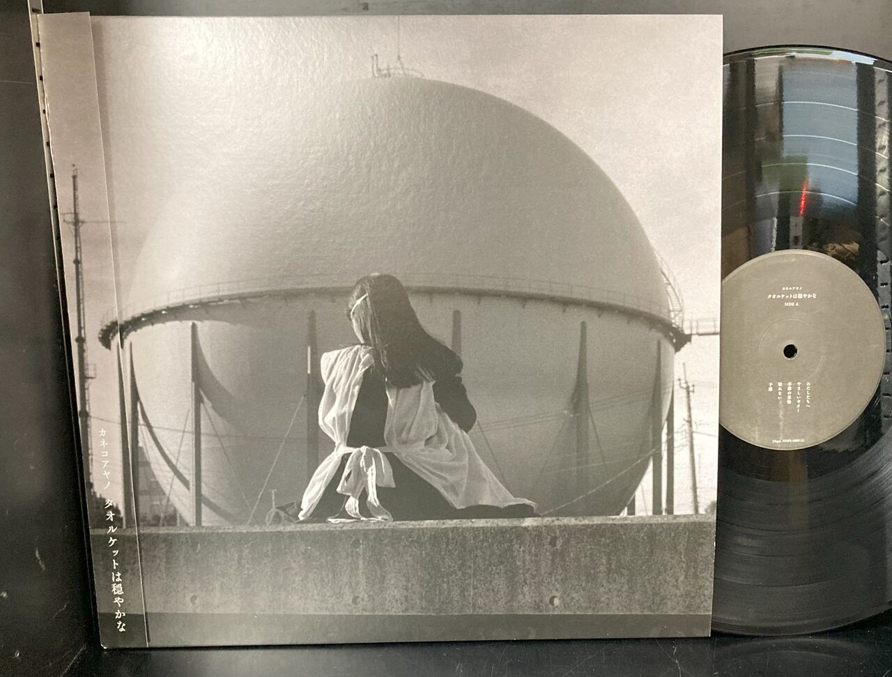 タオルケットは穏やかに レコード カネコアヤノ 【公式通販】