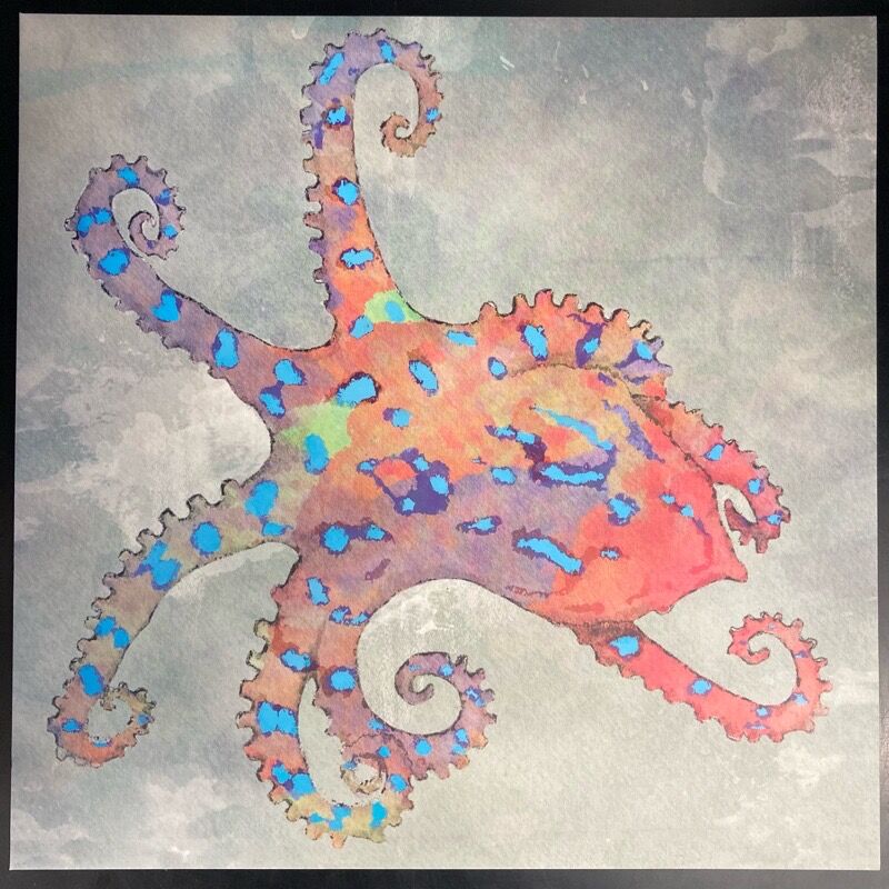 ドミコ/わお、だいびんぐ ドミコ「わお、だいびんぐ」＋おまけ DOMICO