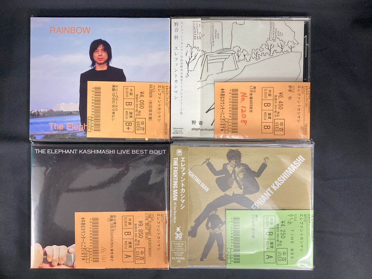 RAINBOW 初回限定盤 DVD付／エレファントカシマシ（新品未開封）