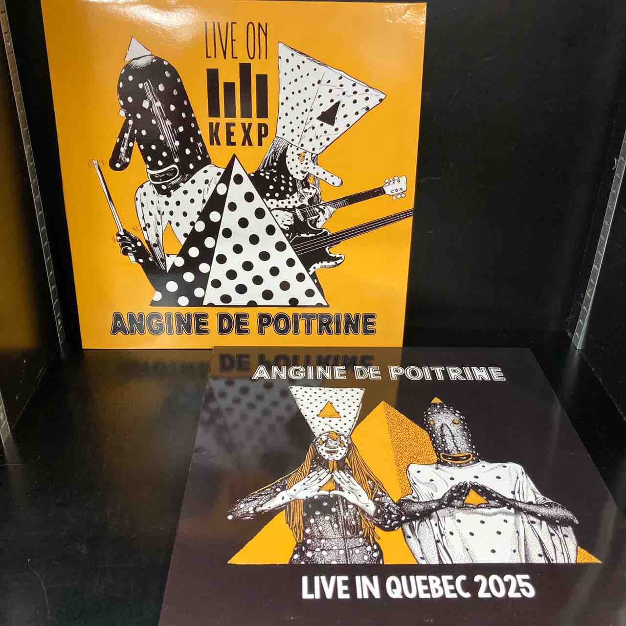 ANGINE DE POITRINE LIVE盤 レコード ANGINE DE POITRINE 世界に見つかったあの一夜のLIVE盤が中古入荷しま