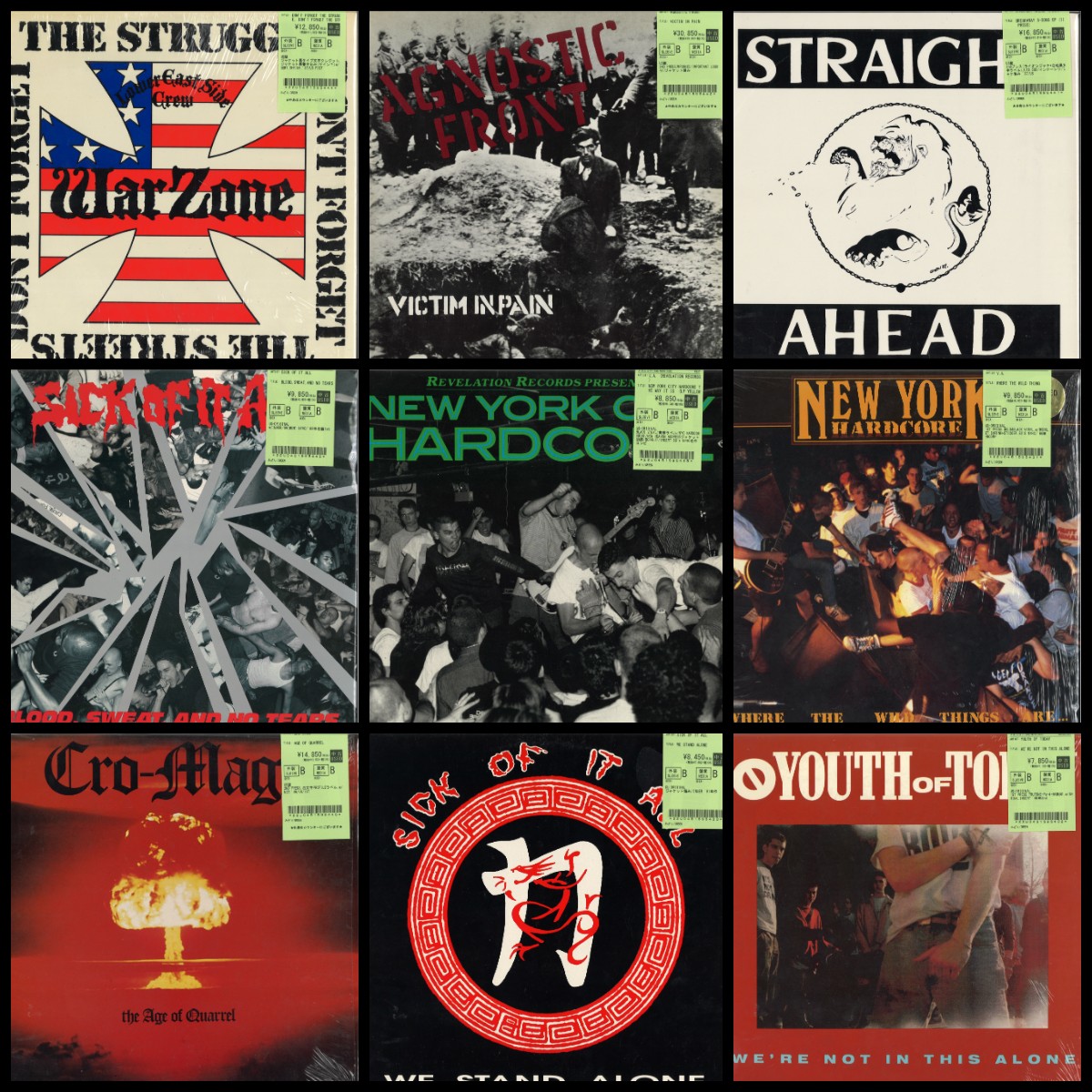 NEXT STEP UP - heavy LP未開封シールド レコードnyhc NEXT STEP
