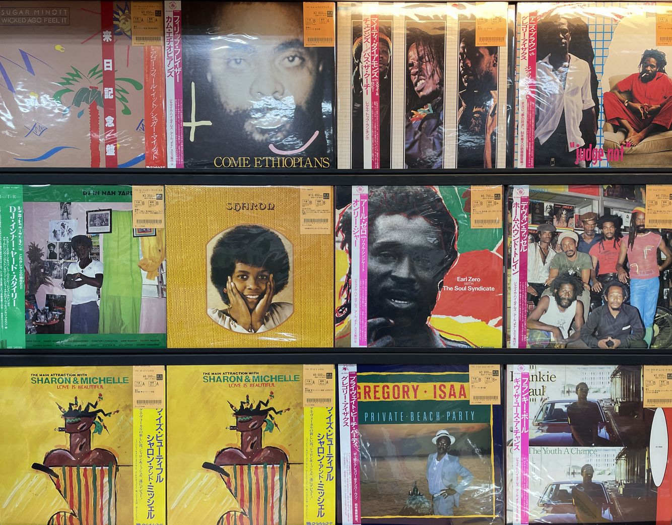 9/13(土)【REGGAE中古レコード】新着品ピンポイント店頭展示