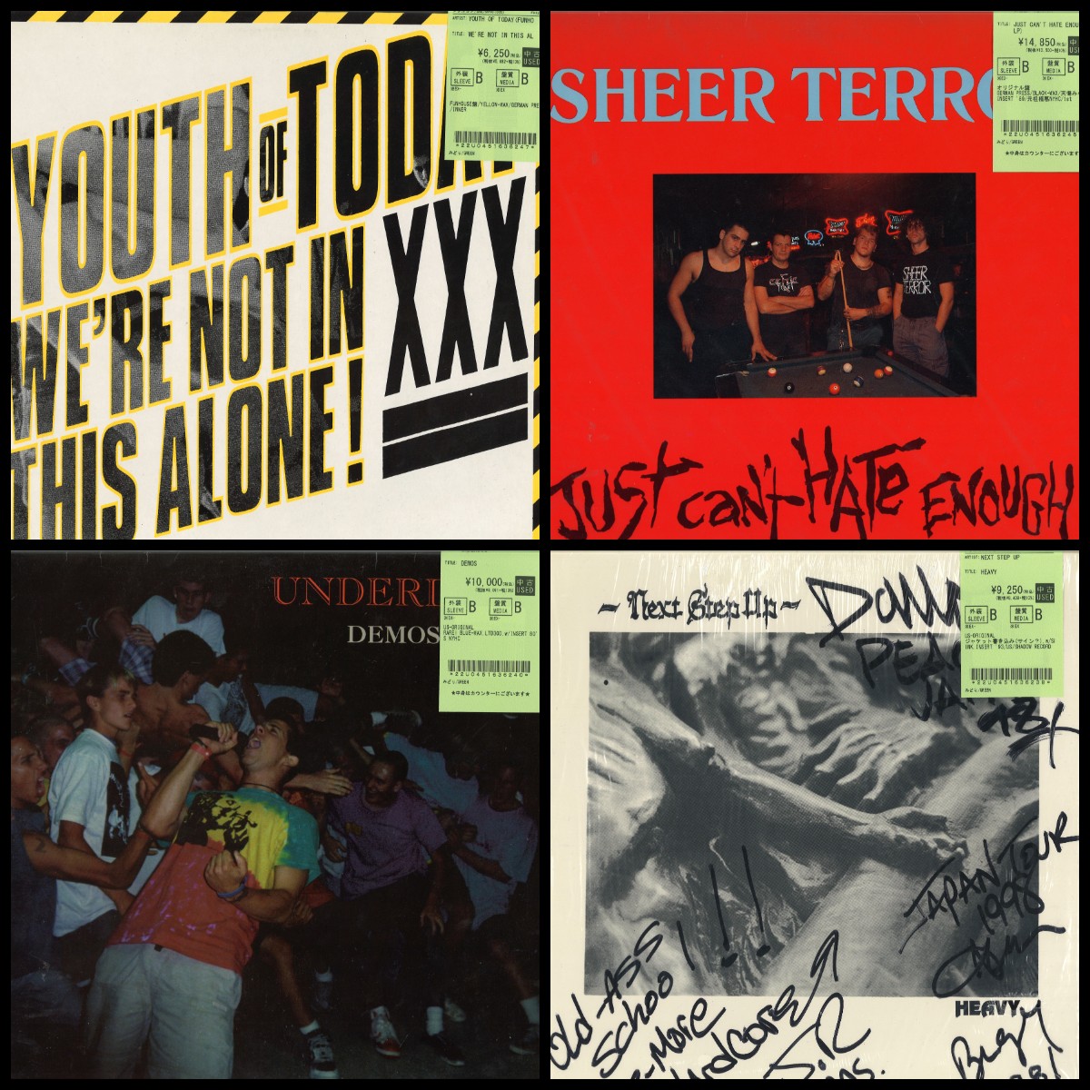 NEXT STEP UP - heavy LP未開封シールド レコードnyhc NEXT STEP
