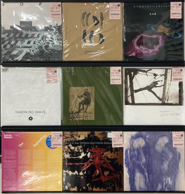 EXPERIMENTAL/MINIMAL】新入荷レコード大量放出第3弾！！Vanity
