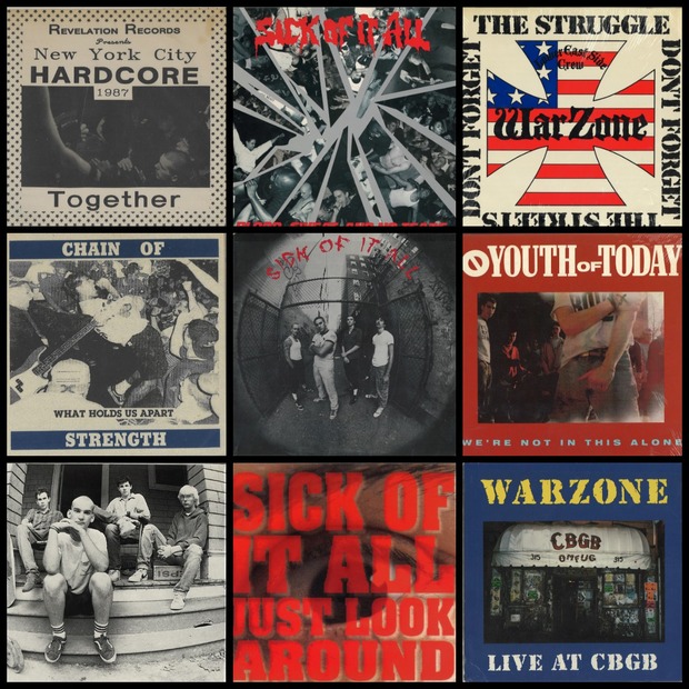 NYHC,SxE】LP / 7” 大量入荷！【YOUTHCREW】 : ディスクユニオン池袋店