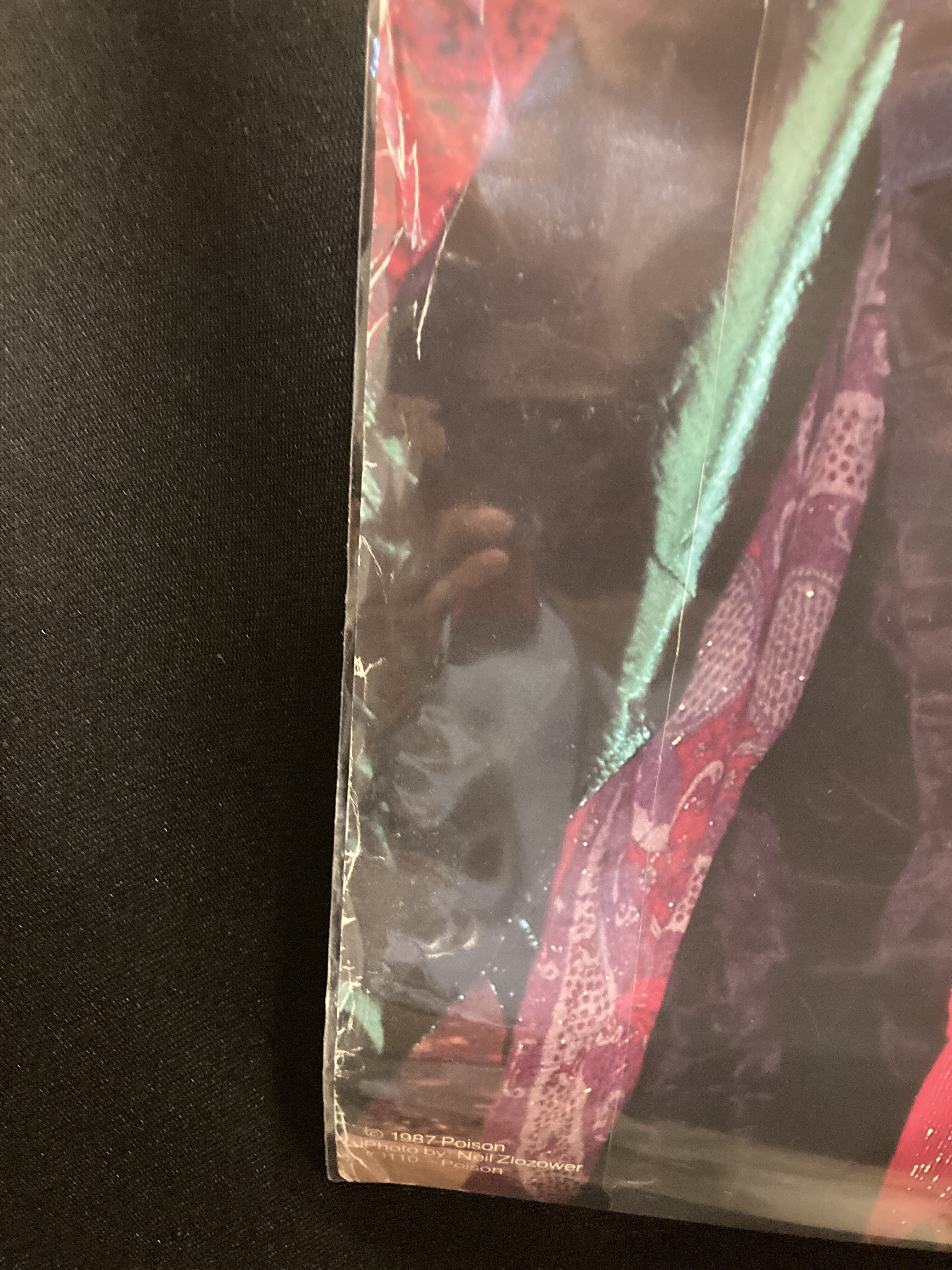 ポスター】出血サービス！大幅値下げいたしました！② : ディスク