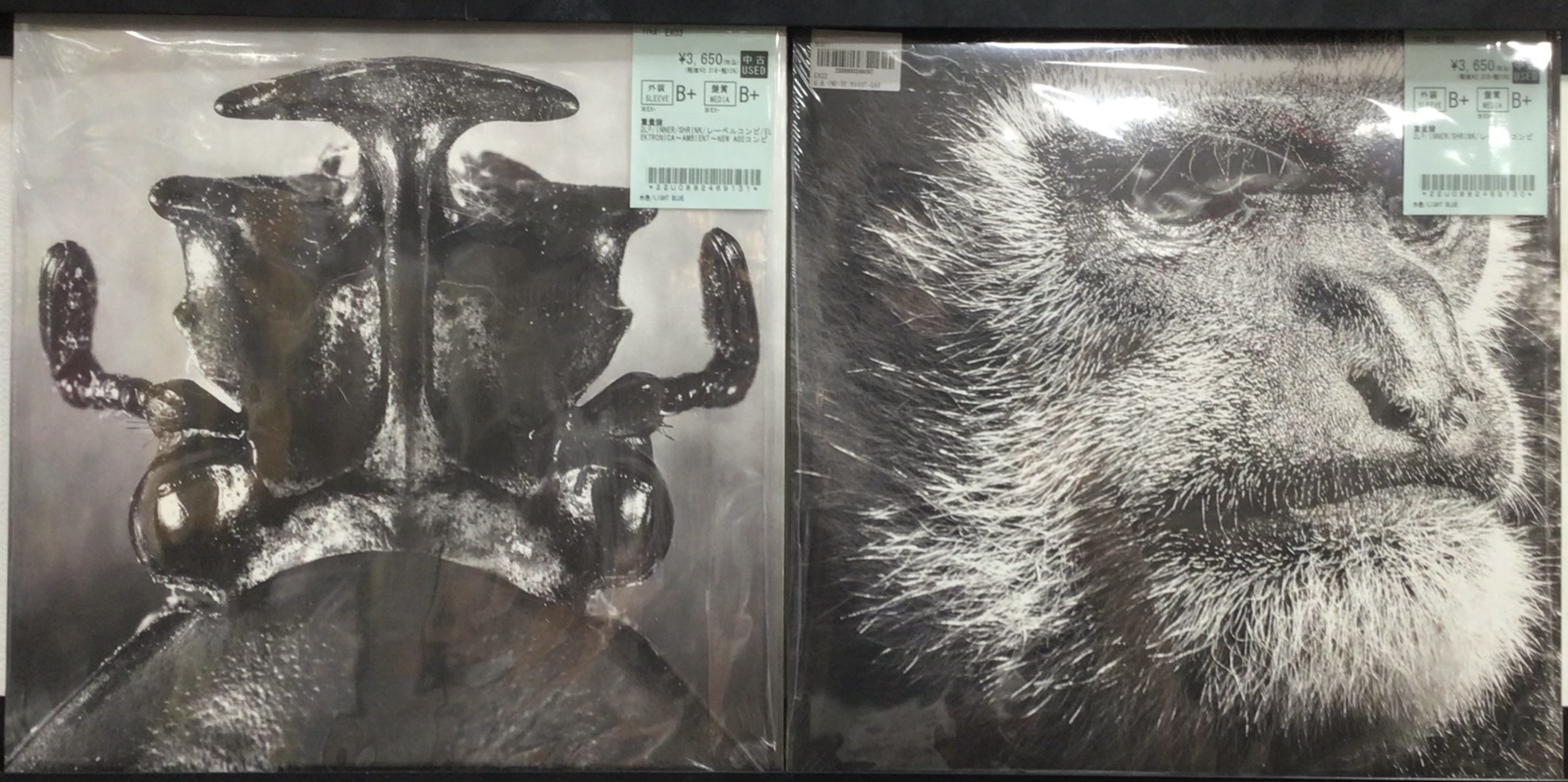 バグリー　コレクターエディション「クラシックウィナーズ」※ウーデイビスサインあり バグリー コレクターエディション「クラシックウィナーズ」※ウー