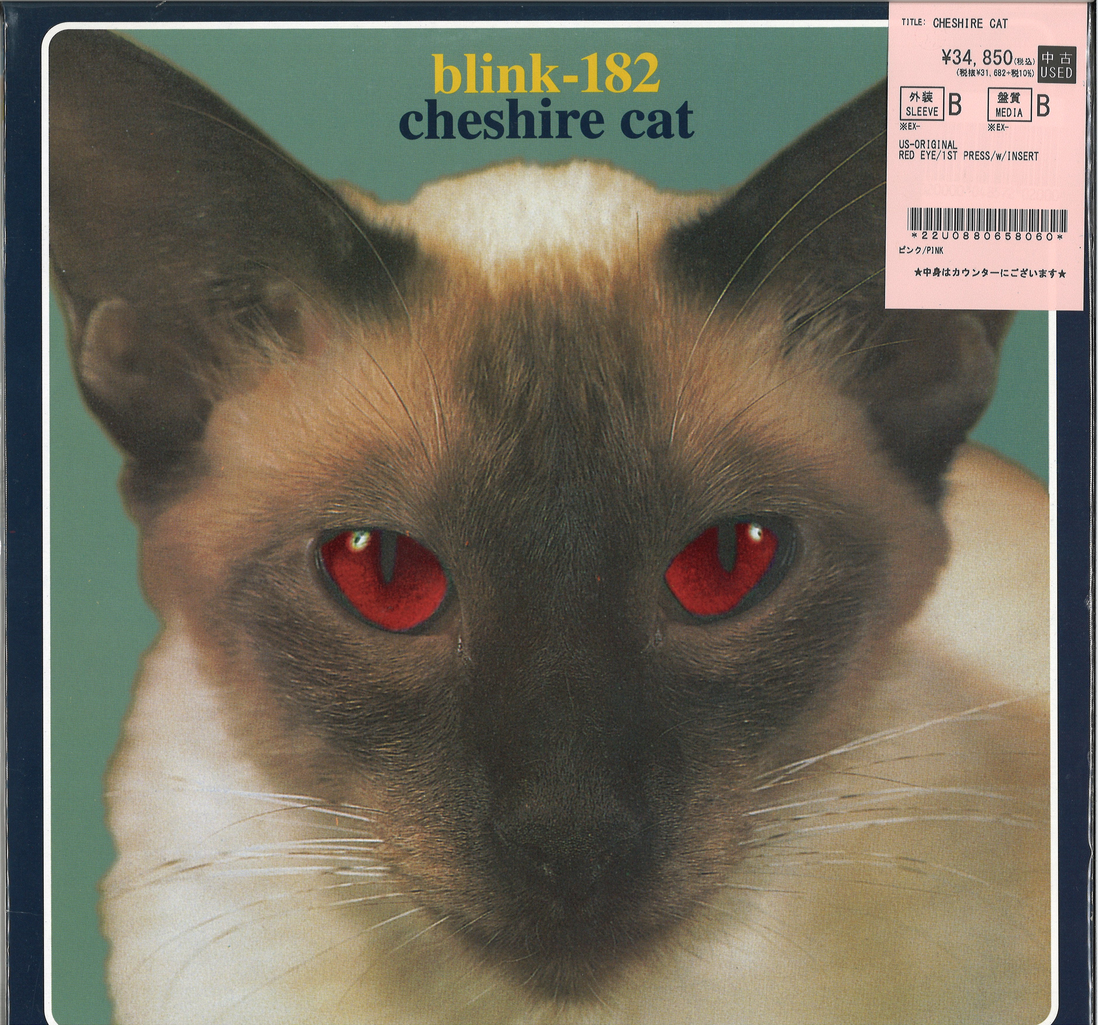 PUNK】激レア中古LP Green day , Blink 182 : ディスクユニオン池袋店