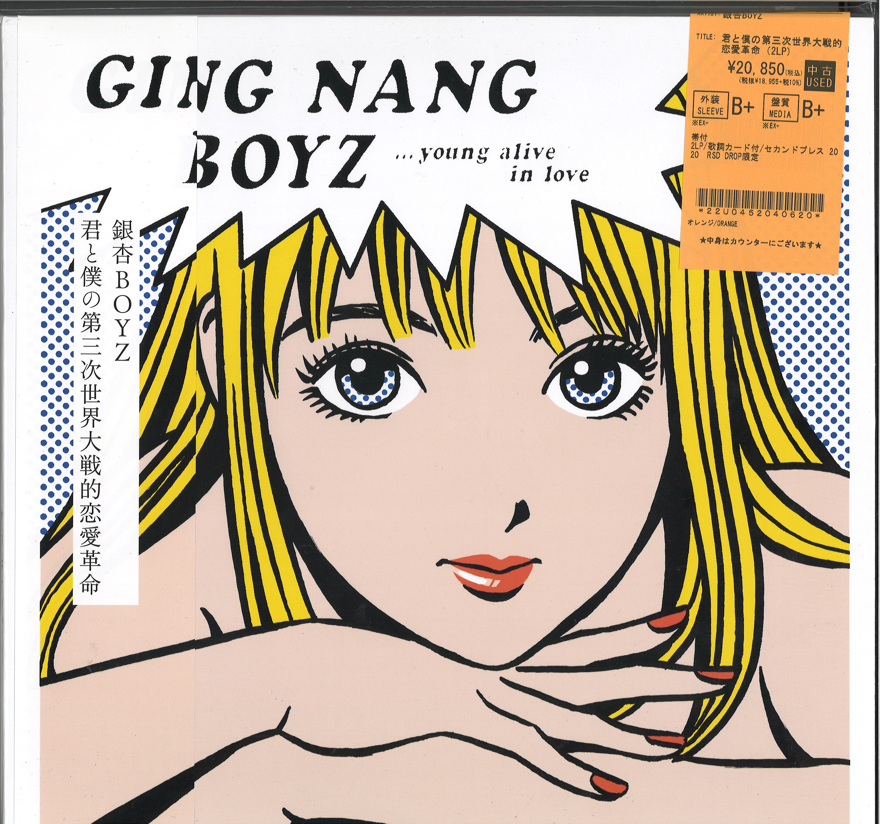 DOOR 銀杏BOYZ 中古レコード　2LP 美品 銀杏BOYZ／DOOR|商品一覧|リットーミュージック