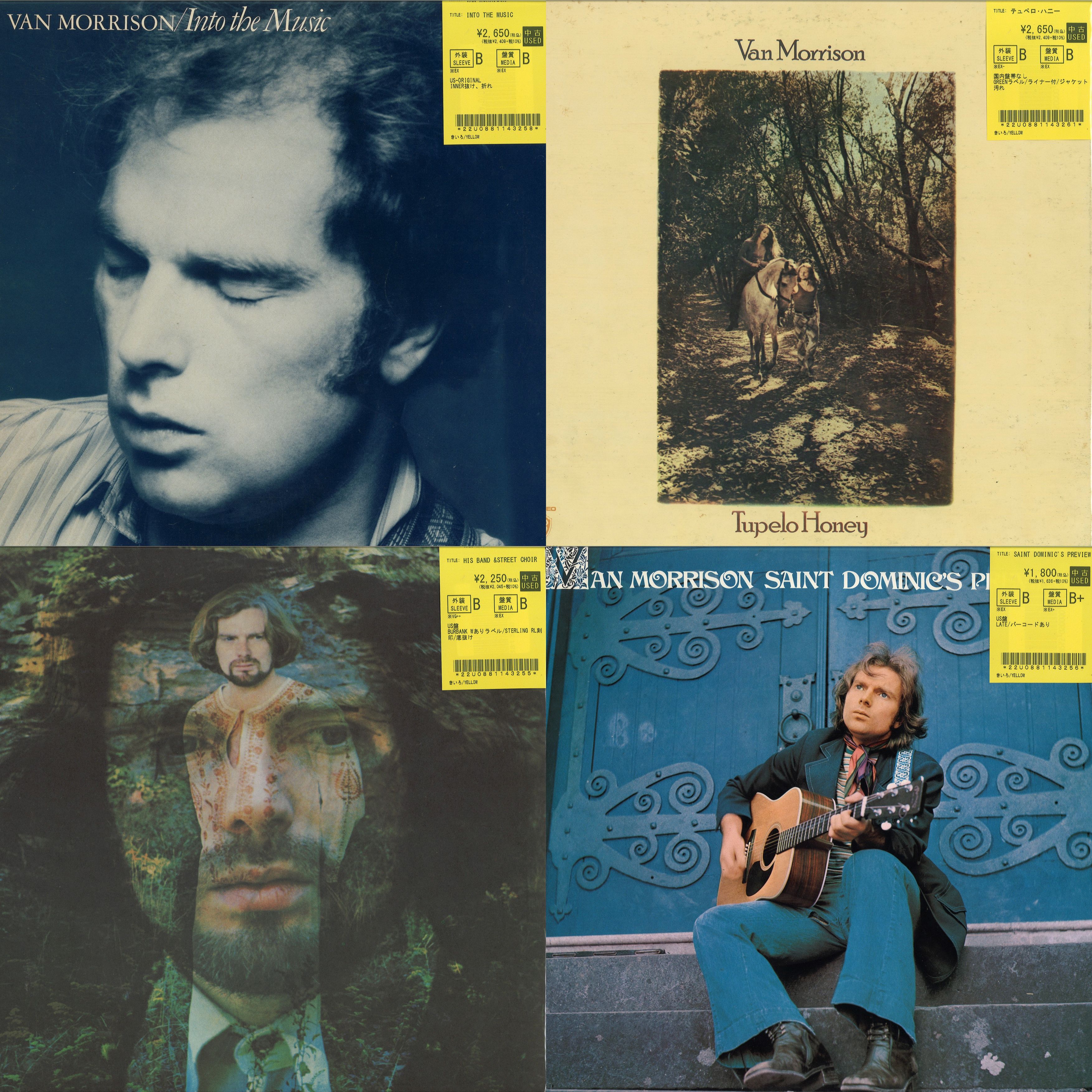 ヴァン・モリソン van morrison 国内盤　帯付き　美品 VAN MORRISON/VAN MORRISON/ヴァン・モリソン/ヒット曲が入った