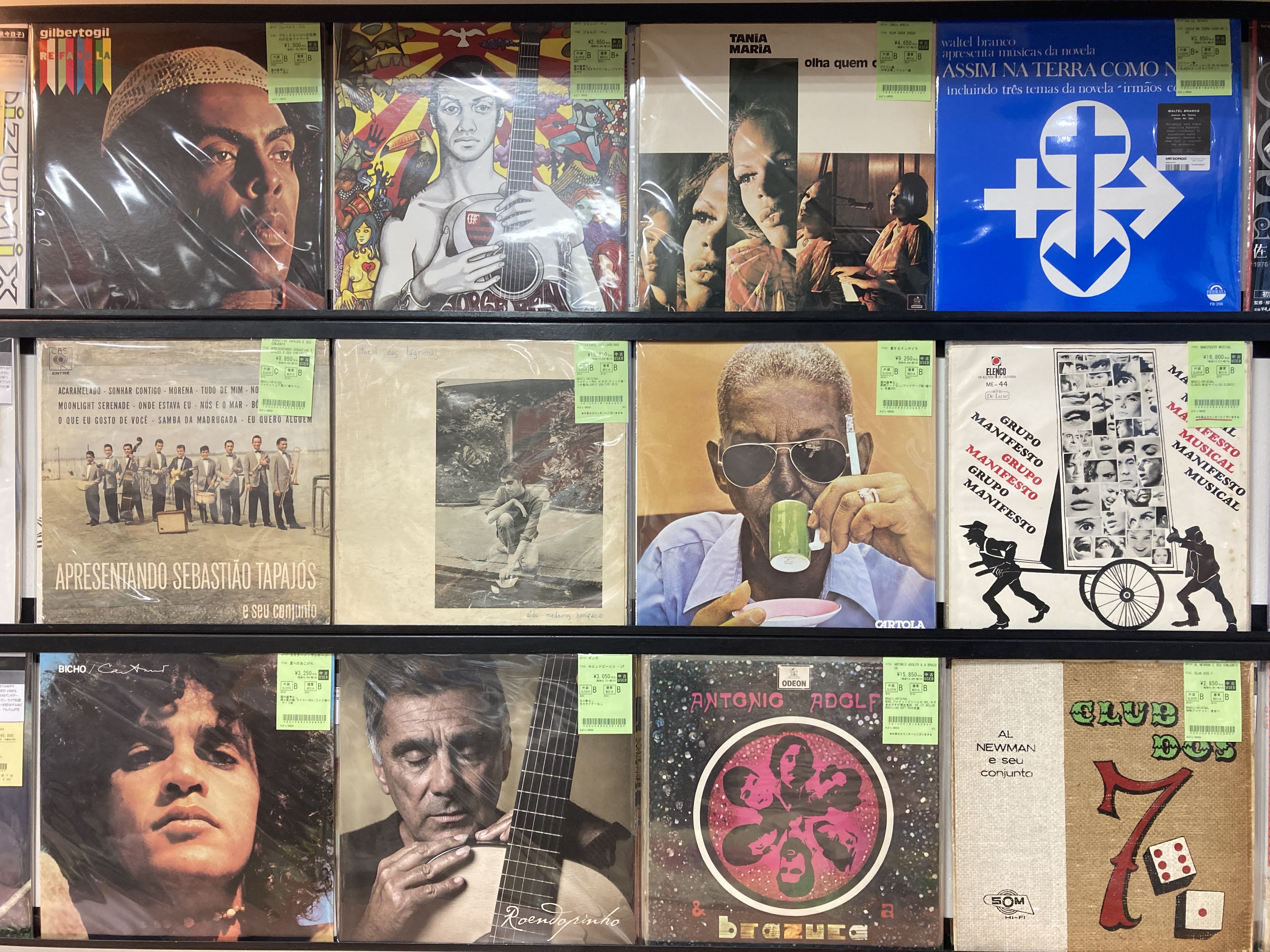 1/21(水)【WORLD/BRAZIL/LATIN】ブラジルを中心にワールドの人気