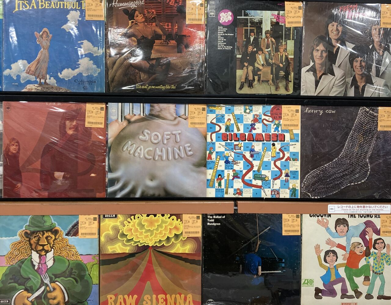 JAZZ ROCKや70年代ROCK名盤中心にROCK/PROGRE新着中古レコード250枚 
