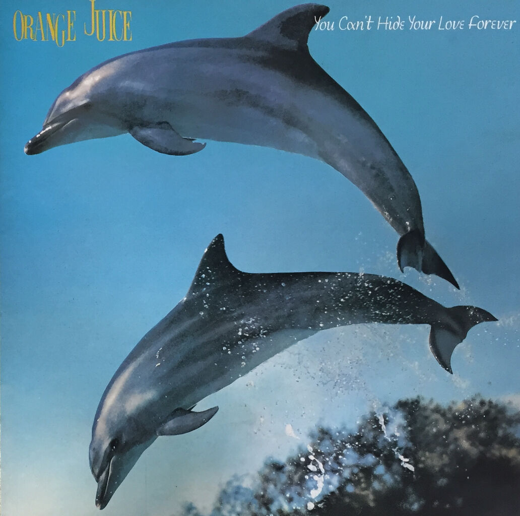 Orange Juice レコードセット 【公式通販】