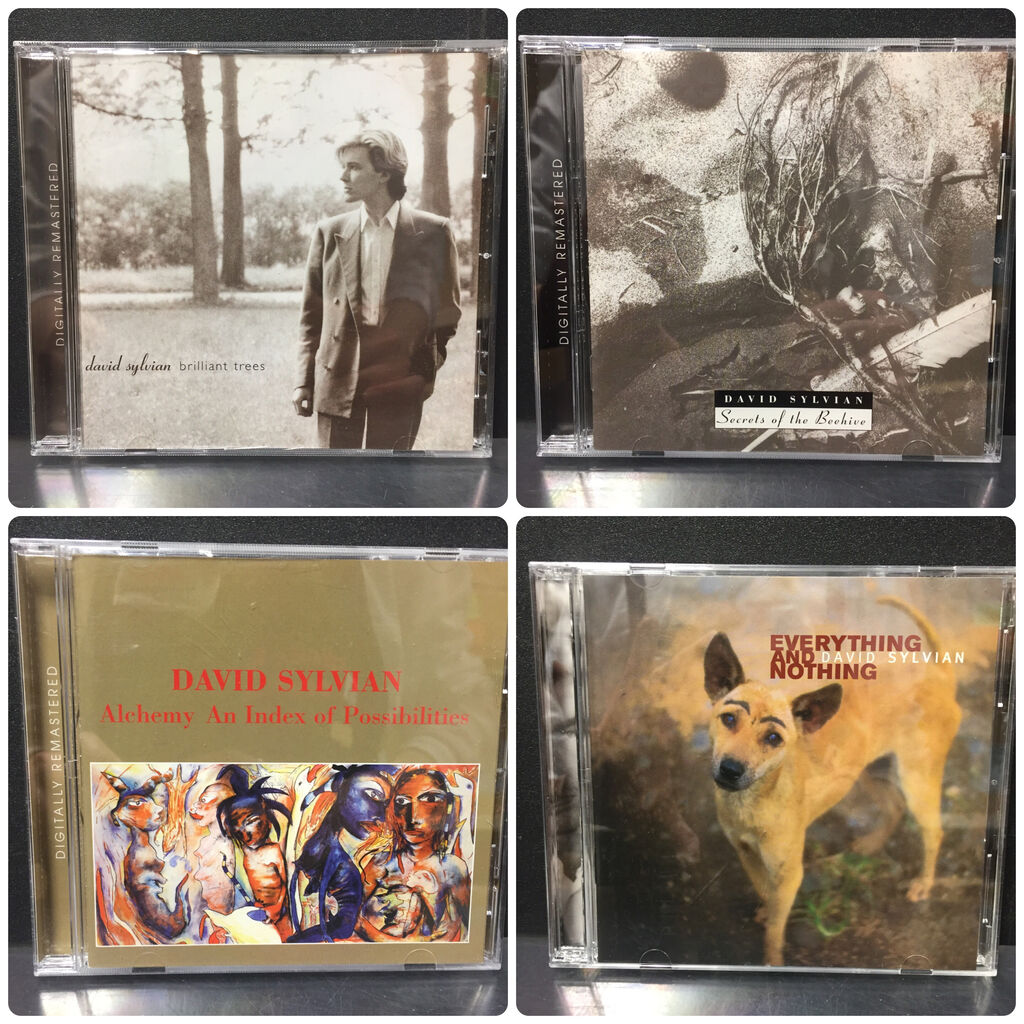 David Sylvianソロ作品・中古CDがまとまって入荷しております David Sylvianソロ作品・中古CDがまとまって入荷しております