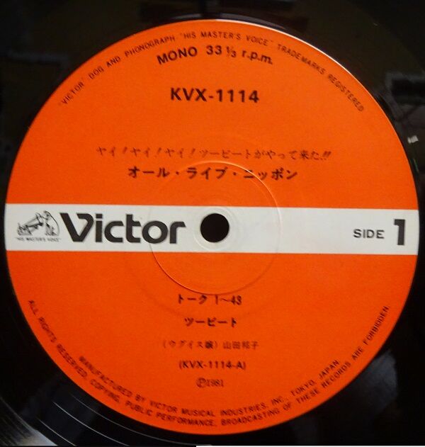 81年【本日入荷中古LP】「ツービート / オール・ライブ 81年【本日入荷中古LP】「ツービート / オール・ライブ