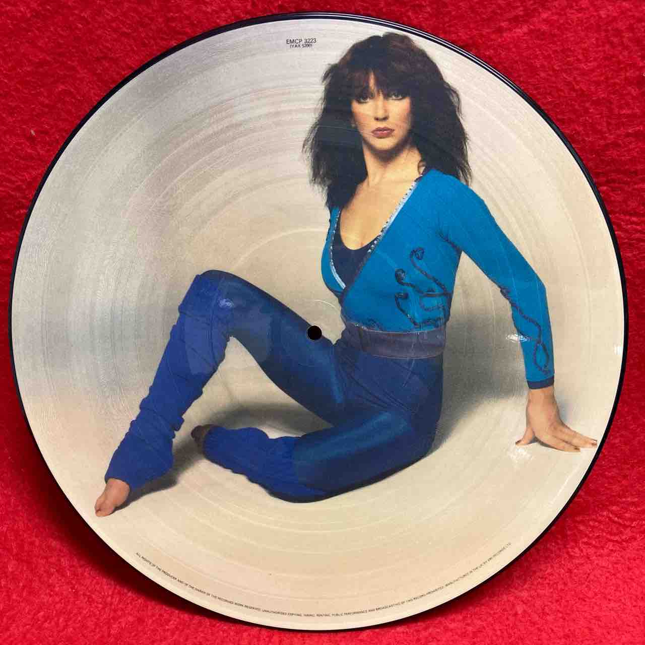 9/24(日)KATE BUSH稀少ピクチャー盤他まとめて入荷！ : ディスク