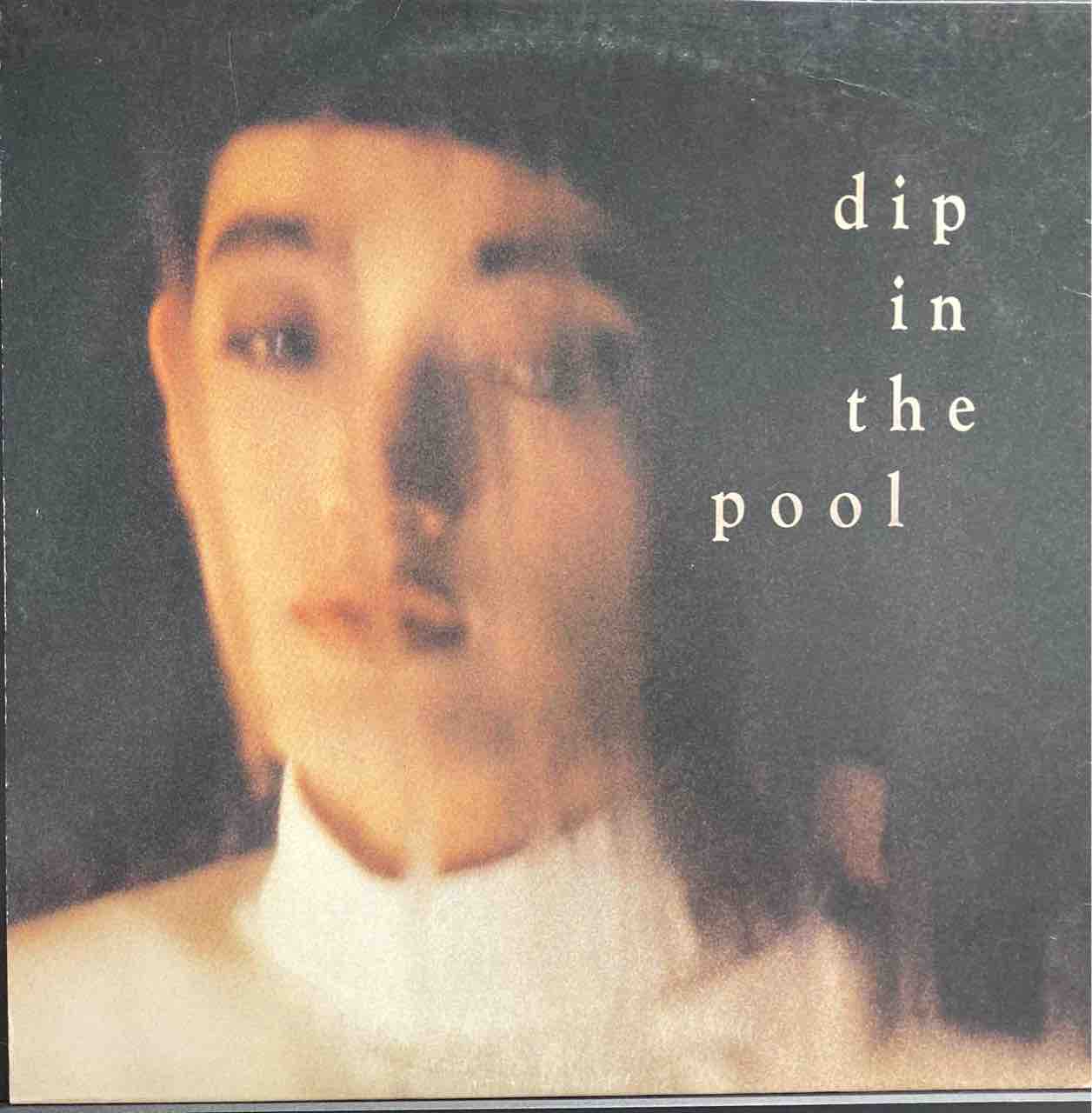 dip in the pool ディップインザプール甲田益也子LPレコード
