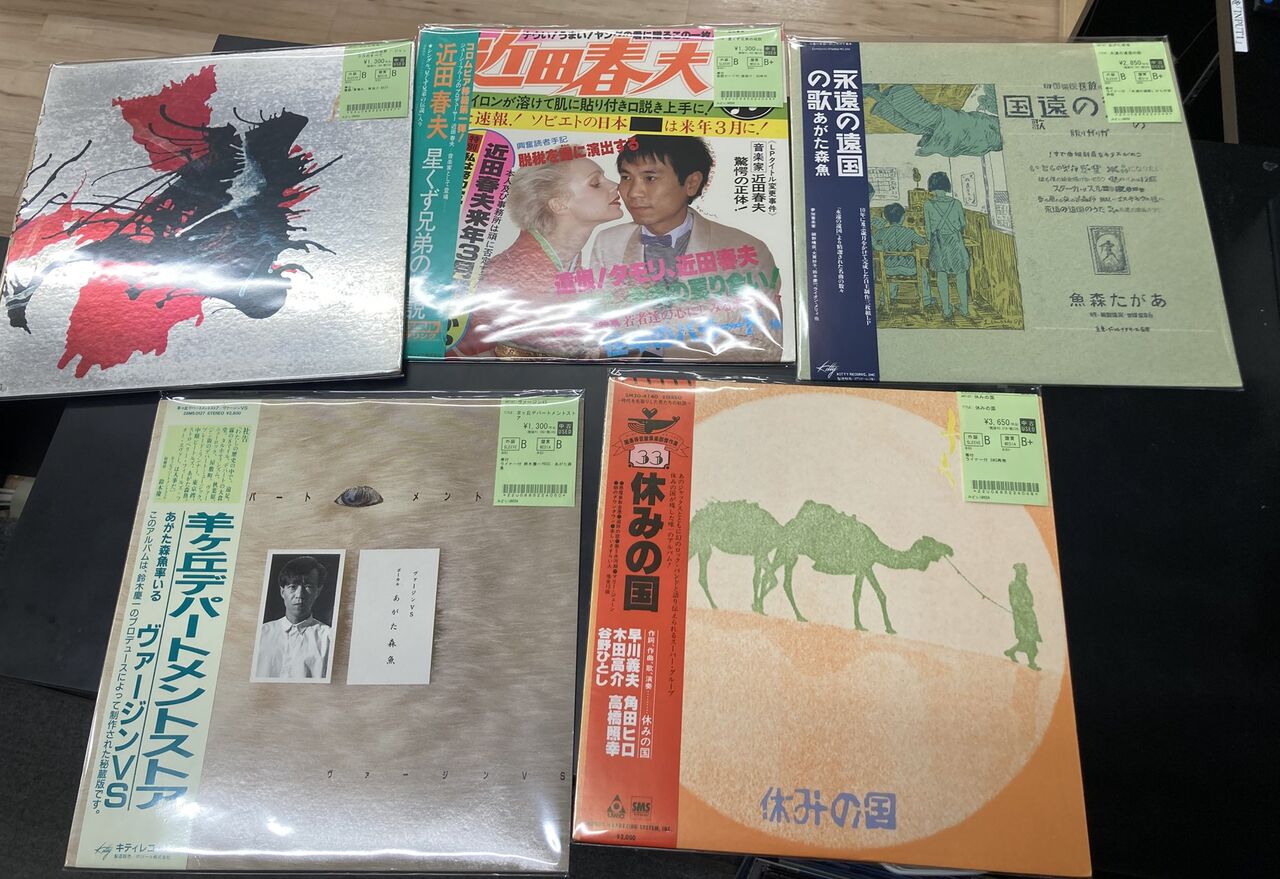 3/4(火)日本のロックポップス 中古レコード新入荷情報！休みの国、細野