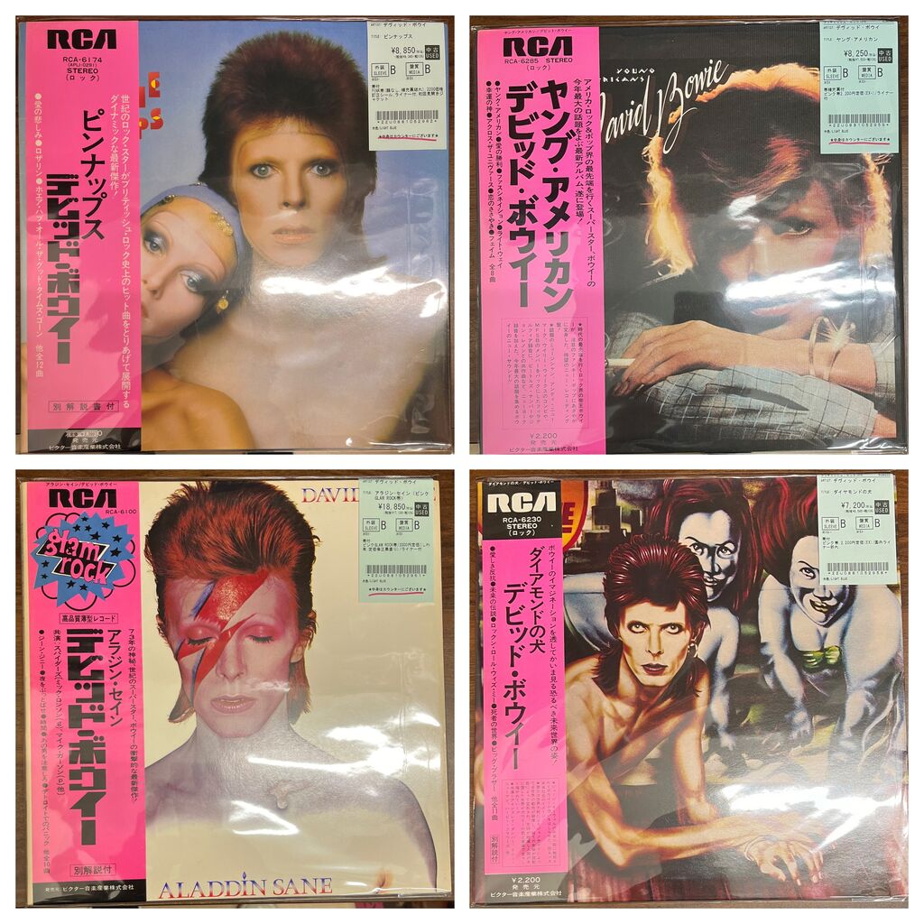 ロック新入荷】デヴィッド・ボウイのPINK帯付国内盤レコードがまとめて