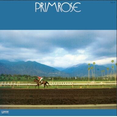 新品レコード】HIROMASA SUZUKI 鈴木宏昌 / PRIMROSE(LP) 入荷しました