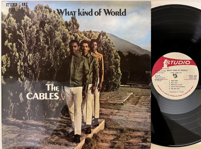 CARLTON AND THE SHOES (LP) レコード - レコード