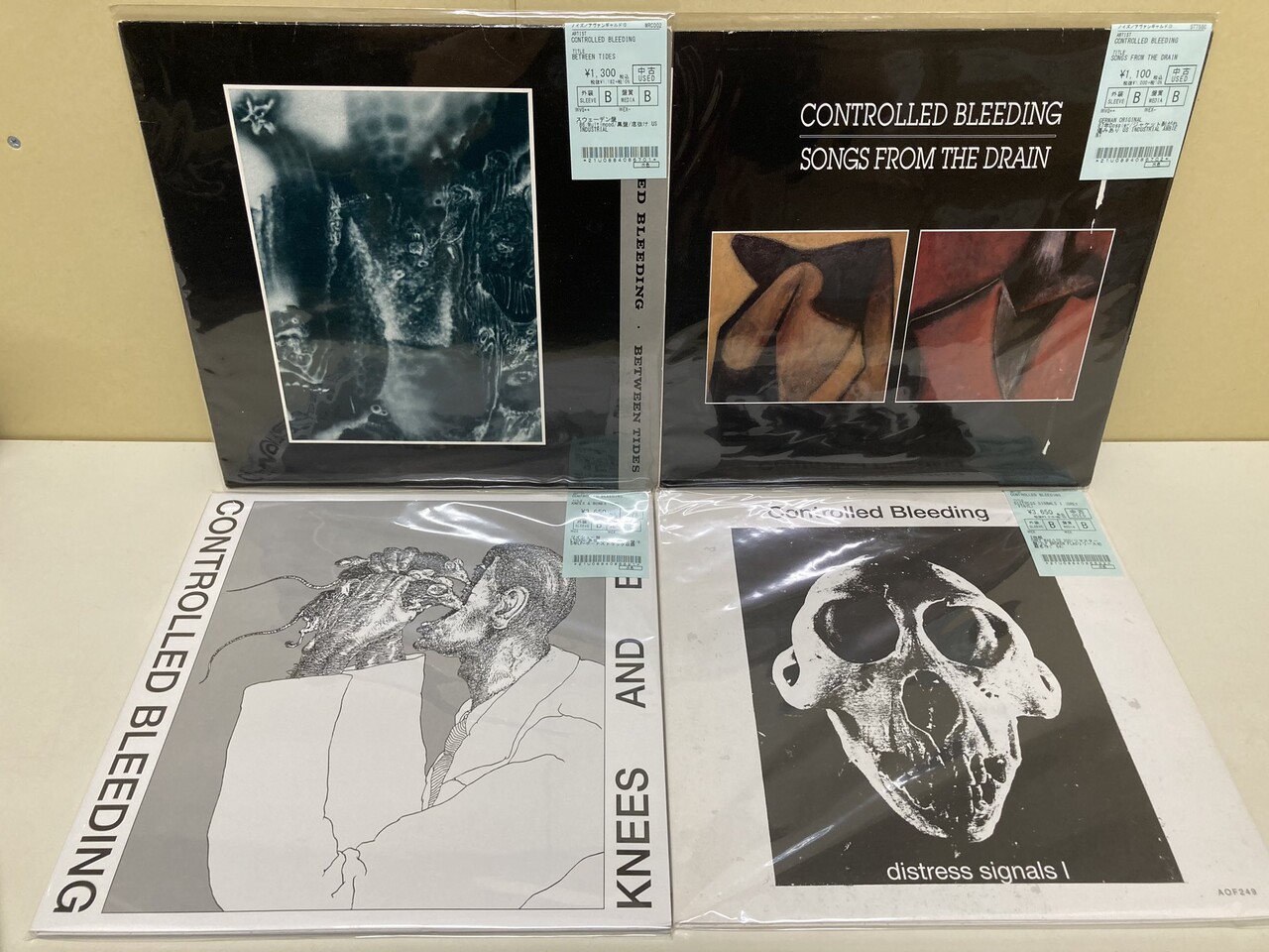 ⭐中古新入荷情報⭐】6/16(土) 80'sインダストリアル中古レコード大量入荷!SPK,CONTROLLED BLEEDING,NURSE WITH WOUND,ANDREW LILES,VOD他希少LPBOXもあり! : ディスクユニオン吉祥寺店 ⭐中古新入荷情報⭐】6/16(土) 80'sインダストリアル中古レコード大量入荷!SPK,CONTROLLED BLEEDING,NURSE WITH WOUND,ANDREW LILES,VOD他希少LPBOXもあり! : ディスクユニオン吉祥寺店