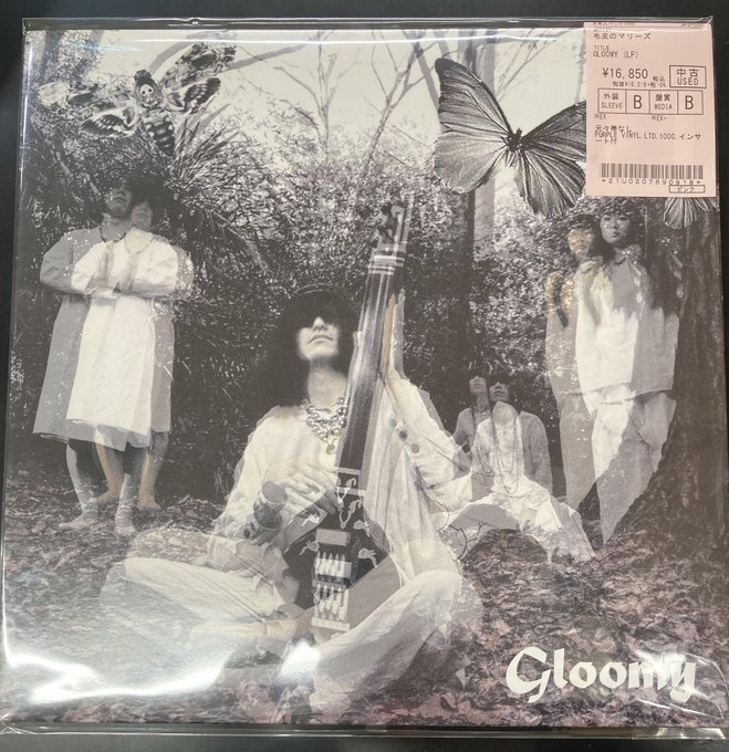 🟣中古新入荷情報🟣】希少！1000枚限定！！毛皮のマリーズ『Gloomy (LP