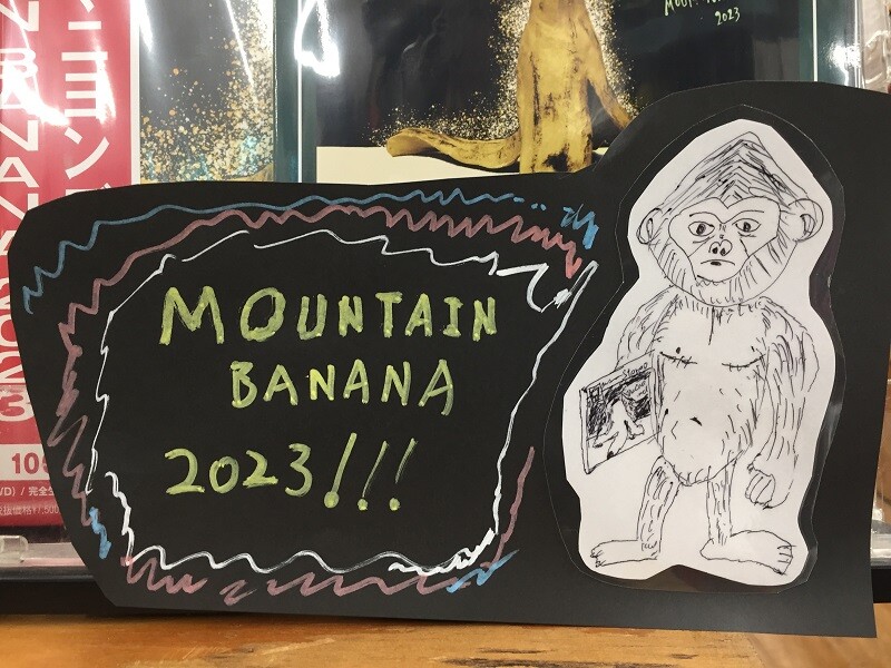 ザ・クロマニヨンズツアー MOUNTAIN BANANA 2023 CD DVD