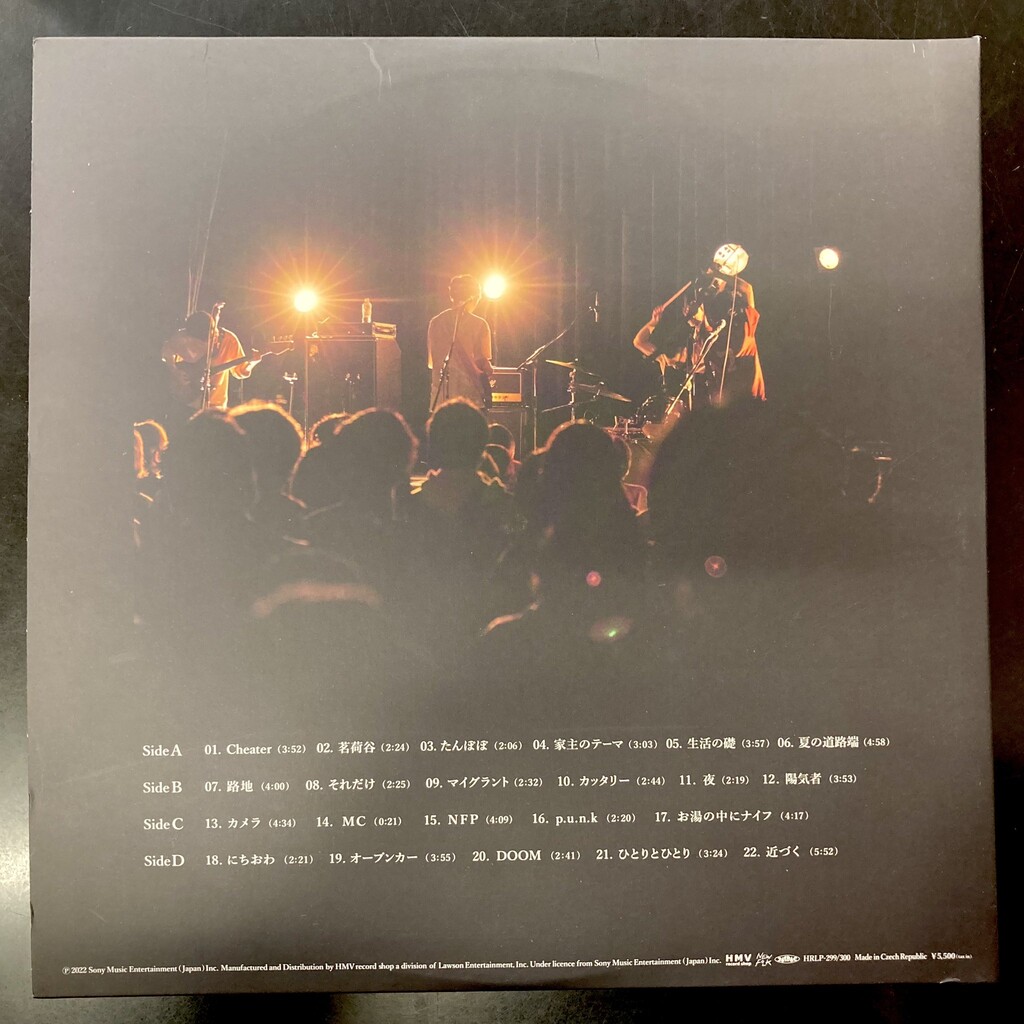 家主 INTO THE DOOM 2枚組レコード ⭐中古新入荷情報⭐】家主『INTO THE DOOM』（2LP）今や日本の