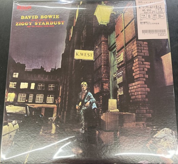 デビッド·ボウイ / 屈折する星くずの上昇と下降、そして火星から来た