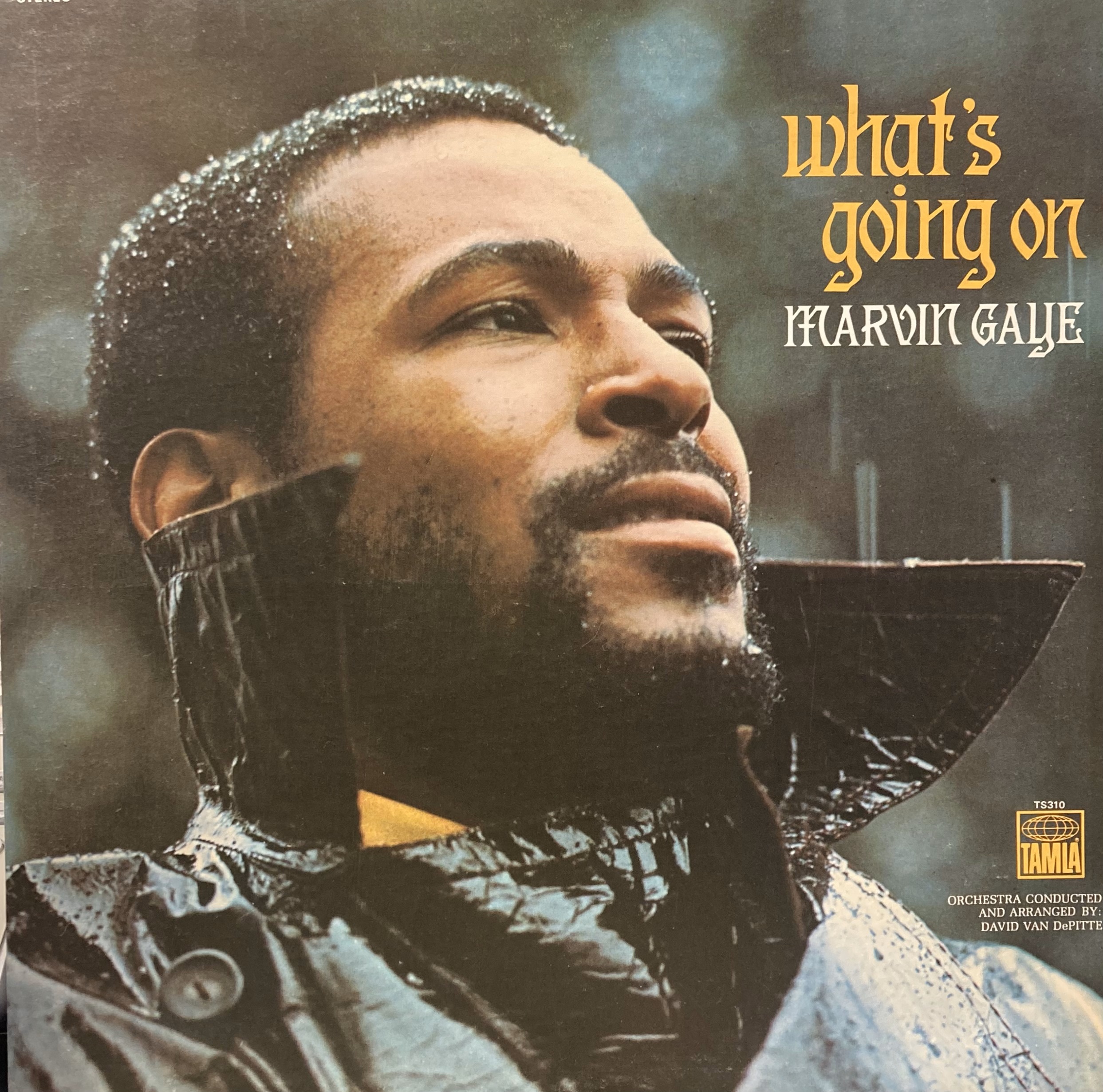 Label: Luv N' Haight : Newtone Records