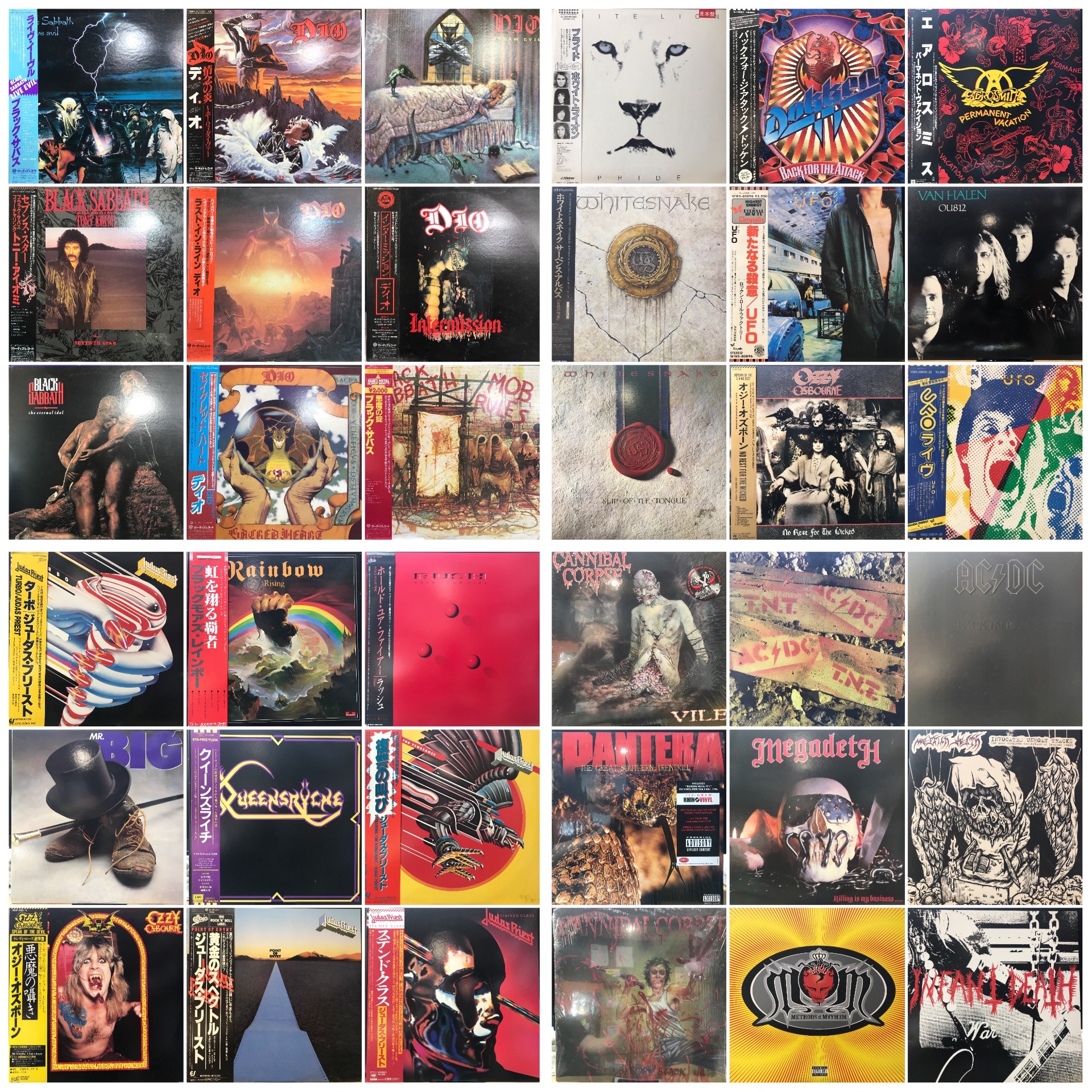 中古LPレコード オジー・オズボーン (2枚)｜音楽