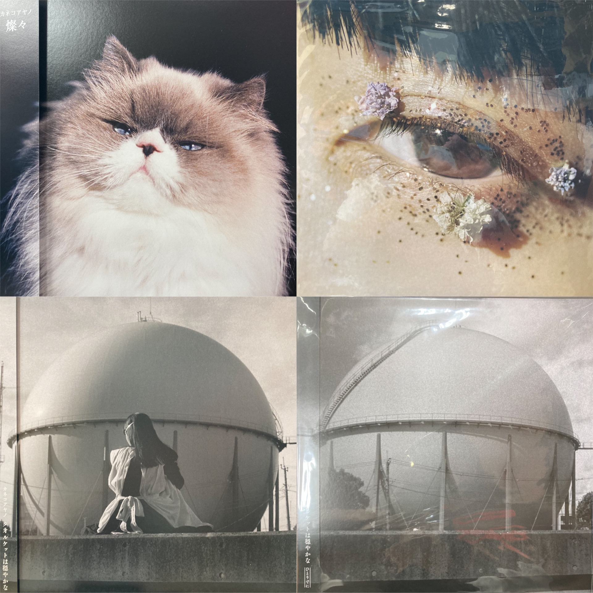 LP 12インチ カネコアヤノ タオルケットは穏やかな ひとりでに 2枚